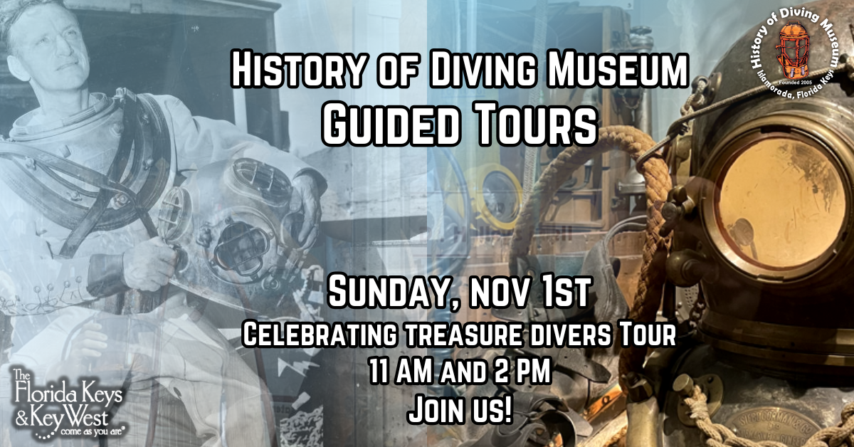 november tours